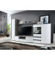 Meuble TV Mural Blanc Laqué et Bois