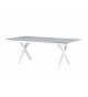 Table de jardin grise et blanche 200 cm