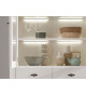 Vitrine cottage 4 portes avec led