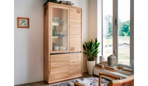 Grande vitrine moderne en bois