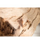 Lampe sur pied 177 cm bois flotté et lin noir