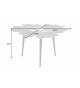 Table basse argentée feuille gingko