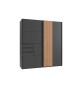 Armoire en bois moderne et gris graphite