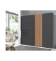 Armoire en bois moderne et gris graphite