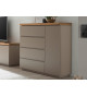 Commode 100 cm 4 tiroirs et 1 porte