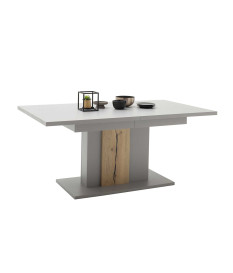 Table design 180-280 cm laqué gris mat & bois
