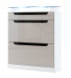 Meuble Range-Chaussures Blanc 2 portes 1 tiroir