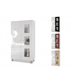Vitrine et rangement 2 portes pour salon