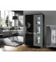 Salon vitrine et rangement 2 portes