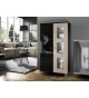 Salon vitrine et rangement 2 portes