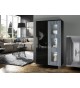 Salon vitrine et rangement 2 portes