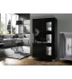 Salon vitrine et rangement 2 portes