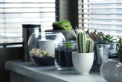 Top 5 des idées pour intégrer des plantes vertes à votre intérieur